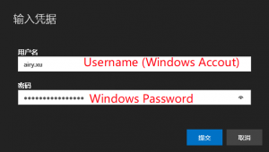 Input your Windows Account name and password login again.